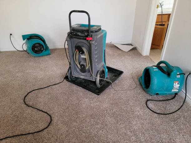 Best 24-hour water damage restoration  in Ocean City, MD