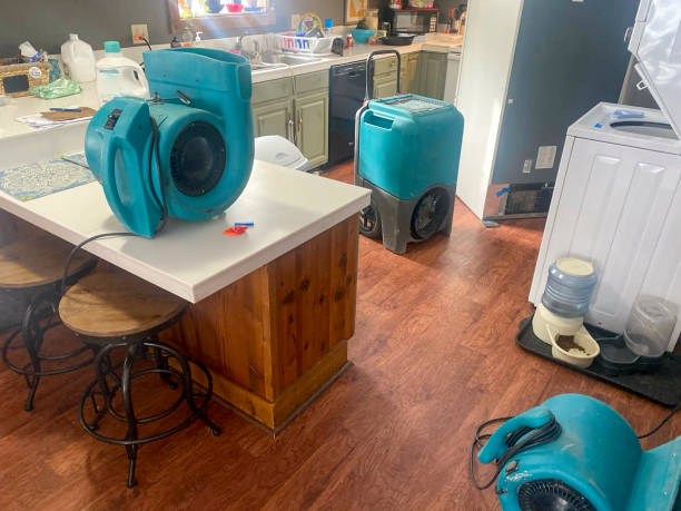 Best Fire Damage Restoration  in Ocean City, MD