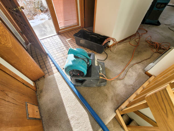 Best Water damage restoration services  in Ocean City, MD