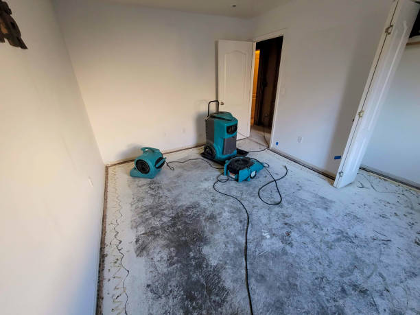 Best 24/7 water damage repair  in Ocean City, MD