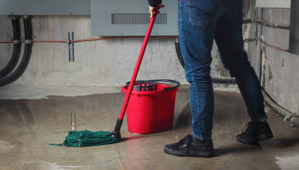 Best Water damage restoration experts  in Ocean City, MD
