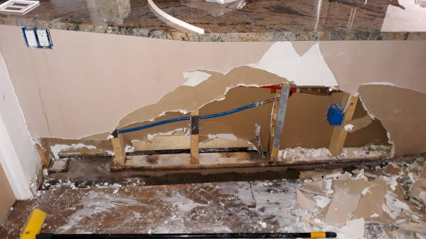 Best Mold removal after water damage  in Ocean City, MD