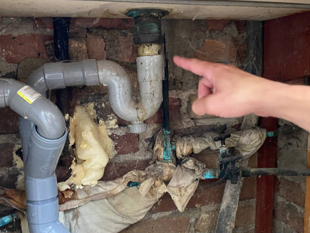 Best Water damage cleanup near me  in Ocean City, MD