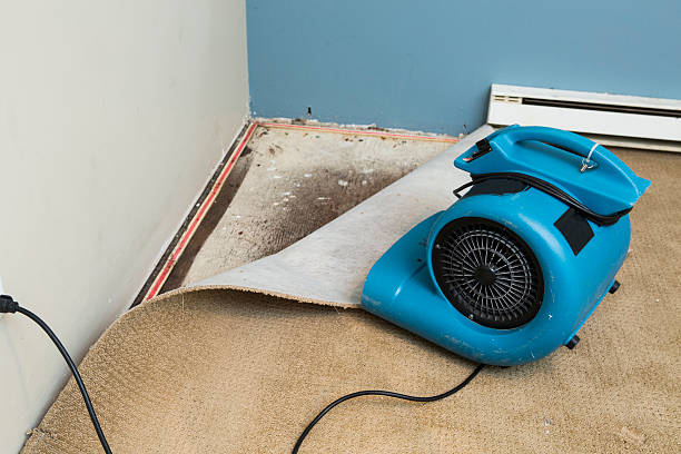 Best Basement water damage restoration  in Ocean City, MD